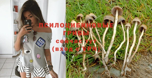 стафф Белоозёрский