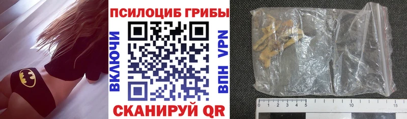 Псилоцибиновые грибы Psilocybine cubensis  mega как зайти  Нижний Новгород 