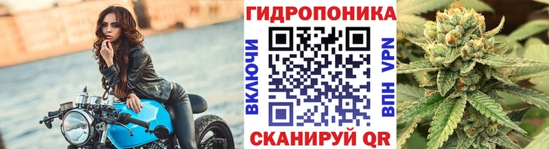 цены наркотик Нижний Новгород Бошки Шишки конопля